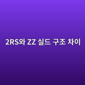 2RS와 ZZ 실드 구조 차이 및 사용 환경 비교 4 2rsec9980 zz ec8ba4eb939c eab5aceca1b0 ecb0a8ec9db4 1785760012