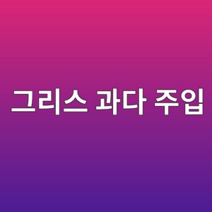 그리스 과다 주입으로 발생하는 온도 상승과 회전저항 증가 원인 1 eab7b8eba6acec8aa4 eab3bceb8ba4 eca3bcec9e85 1786606131