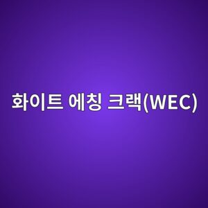 화이트 에칭 크랙(WEC)이 발생하는 메커니즘 5 ed9994ec9db4ed8ab8 ec9790ecb9ad ed81aceb9e99wec 1785761545