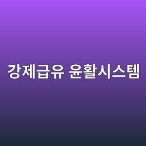 강제급유 윤활시스템의 공급 유량과 압력 안정성, 오일 필터 차압과 열교환 성능, 윤활 부족 발생 가능성 평가 5 eab095eca09ceab889ec9ca0 ec9ca4ed999cec8b9cec8aa4ed859c 1790057047